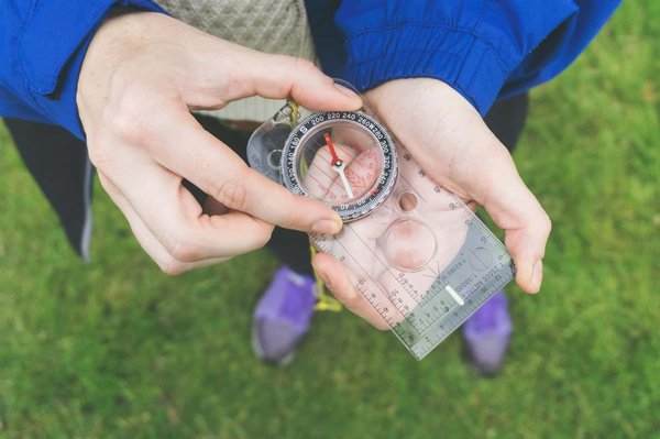 Comment organiser une croisière pour explorer les récifs coralliens de la mer Rouge?